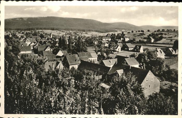 Oberschopfheim Totalansicht