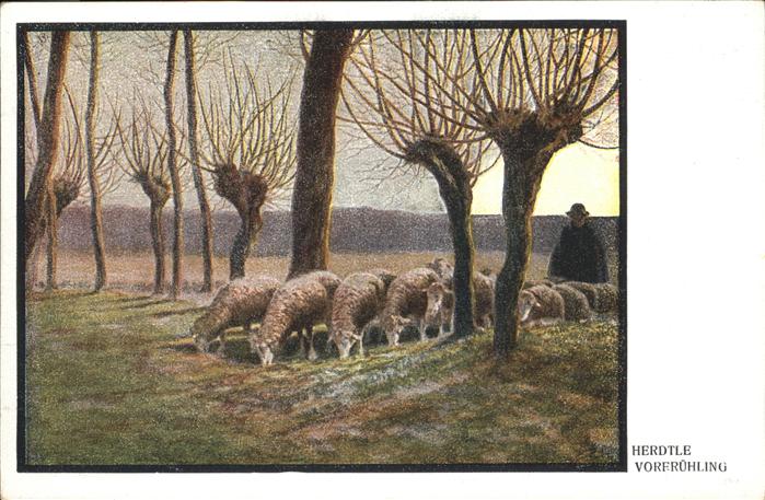 Schaeferei Landwirtschaft Schafe