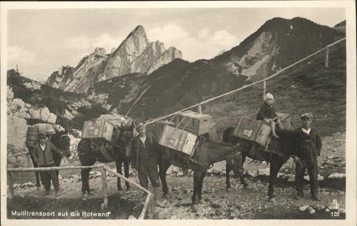 Tiere Mullitransport auf Rotwand