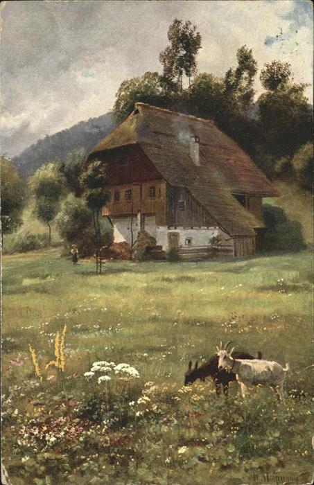 Kuenstlerkarte H Hoffmann Ziegen Schwarzwaldserie II N