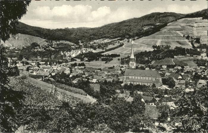 Kappelrodeck Blick v. Käferwald