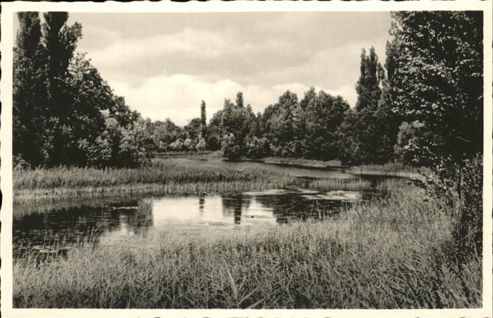 Rheinbischofsheim Altrhein Hanauerland