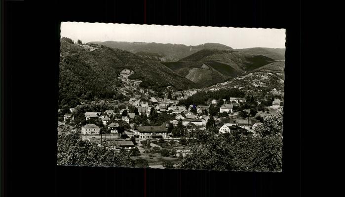Oppenau Gasthof Brauerei Bruder