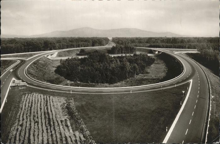 Offenburg Offenburger Ei