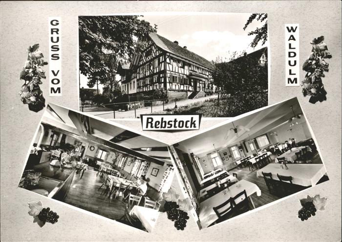 Waldulm Gasthaus z. Rebstock Weinrebe