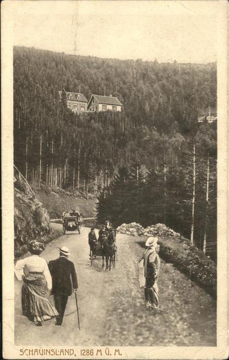 Schauinsland Kutsche