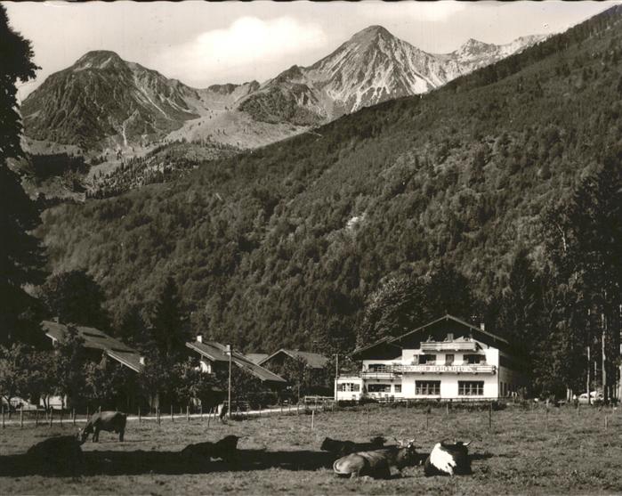 Ettenhausen Schleching Hotel Breitenstein Kühe