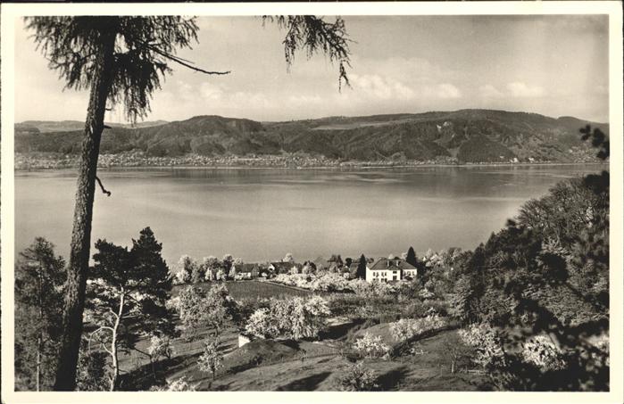 Bodman-Ludwigshafen Schule See