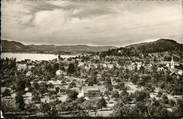 Ludwigshafen Bodensee Totalansicht