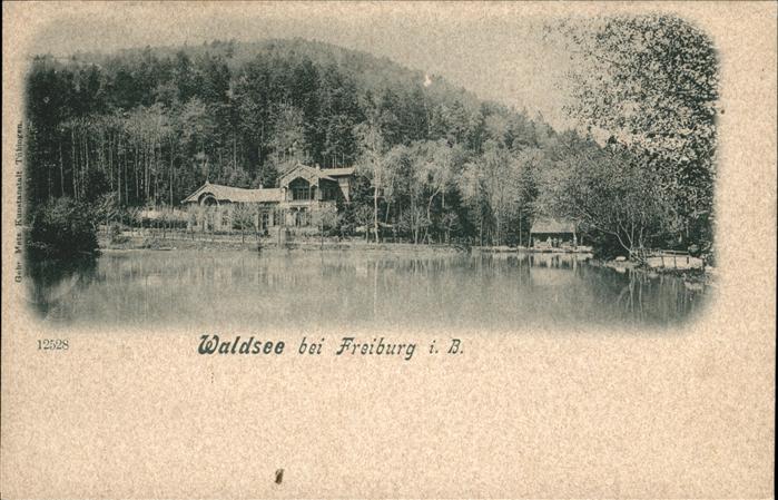 Freiburg Breisgau Waldsee
