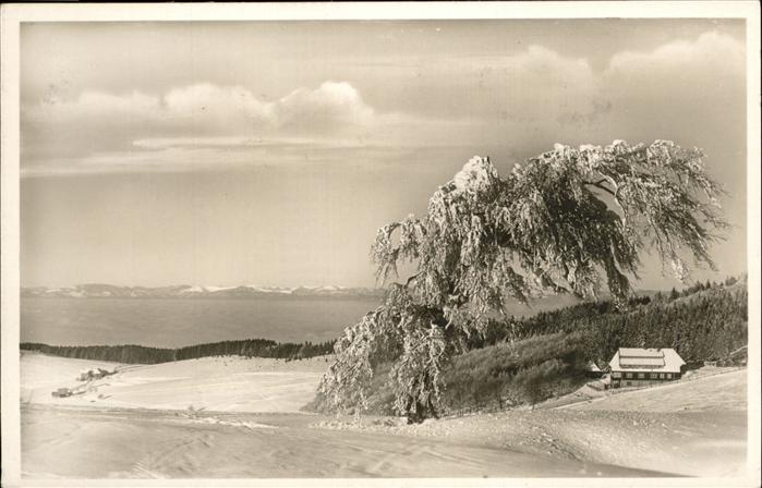 Neuburg landheim Luginsland