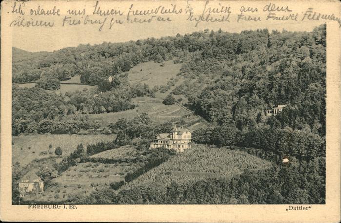 Freiburg Breisgau Panorama