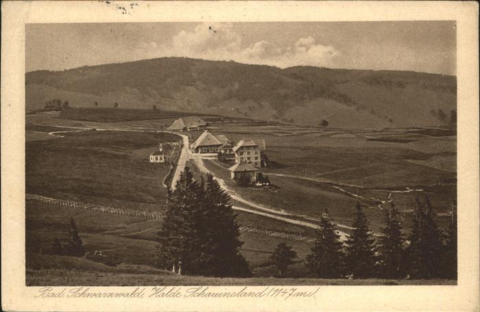 Kirchzarten Totalansicht