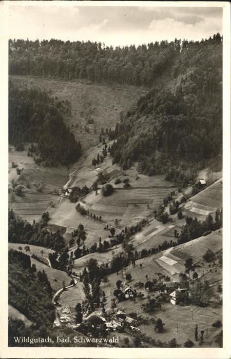 Wildgutach Gasthaus Löwen