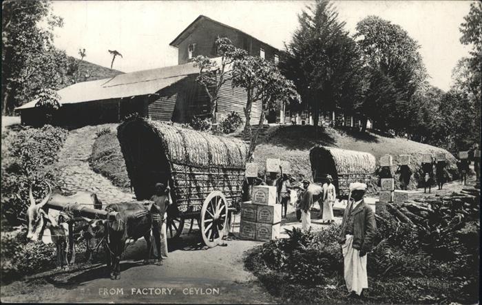 Sri Lanka Insel Ceylon