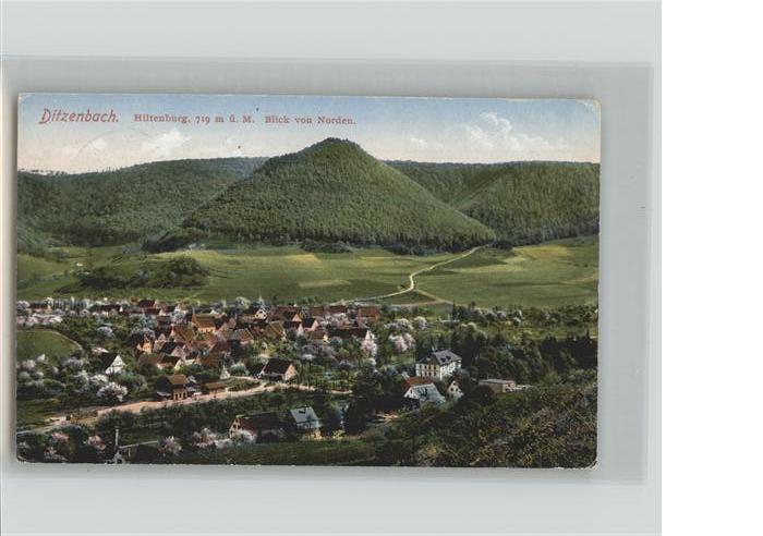 Bad Ditzenbach Panorama