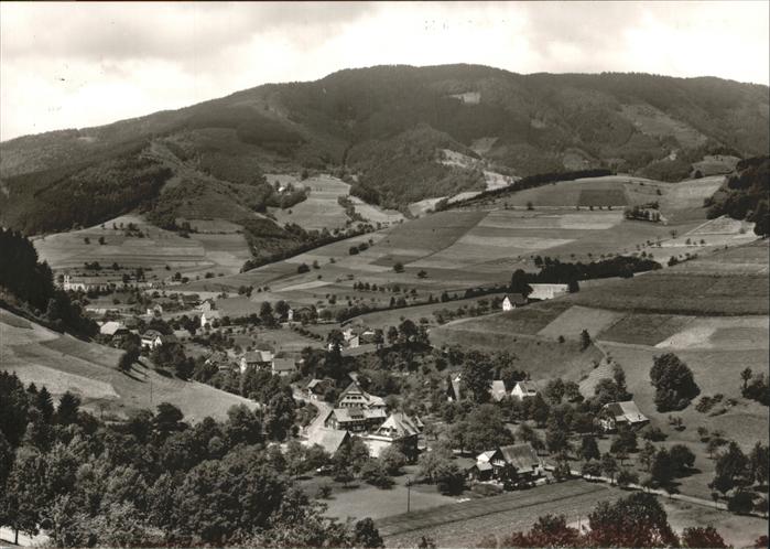 Altsimonswald Panorama