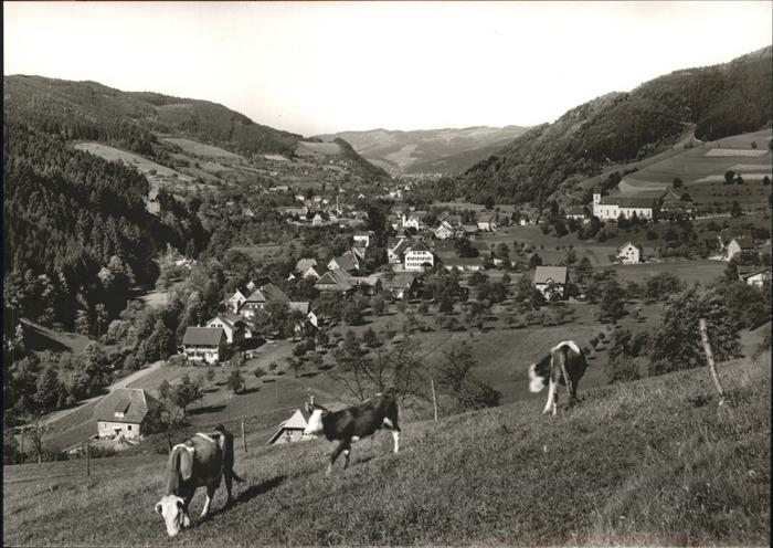 Simonswald Panorama Kühe