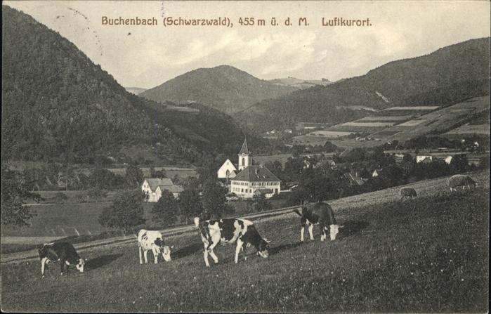 Buchenbach Breisgau Panorama Kühe