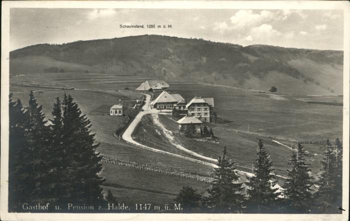 Schauinsland Hotel Halde