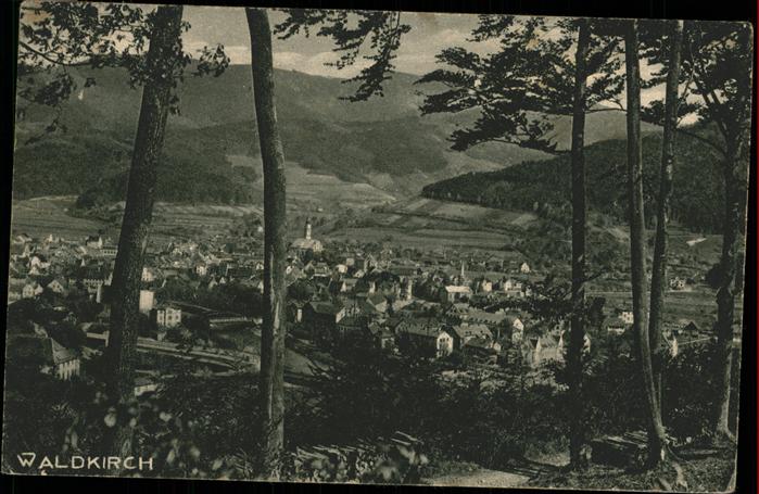 Waldkirch Breisgau Gesamtansicht