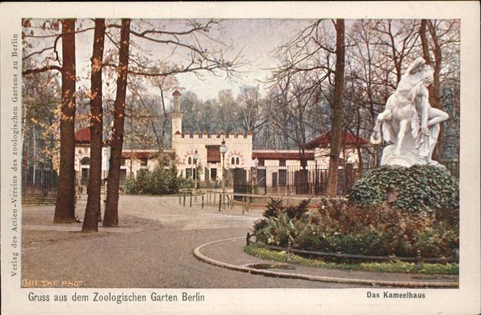 BERLIN  CITY Zoo Kamelhaus