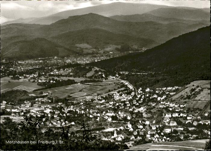 Merzhausen Breisgau Luftbild