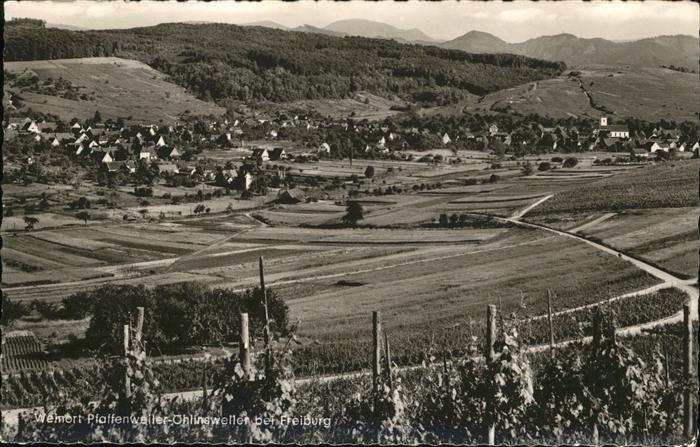 Pfaffenweiler Breisgau Gesamtansicht