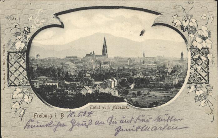 Freiburg Breisgau Totalansicht vom Hebsack