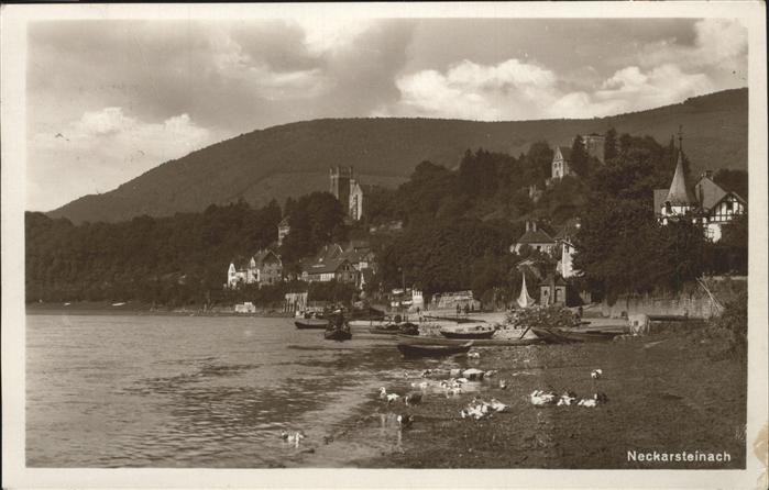 Neckarsteinach Panorama