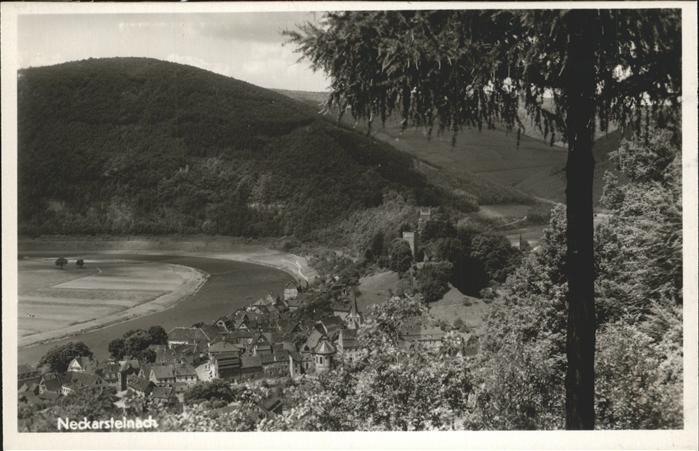 Neckarsteinach Panorama