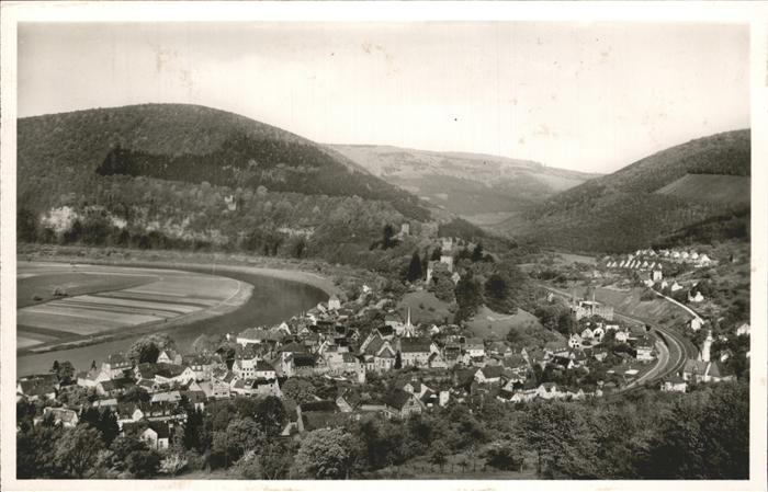 Neckarsteinach Panorama