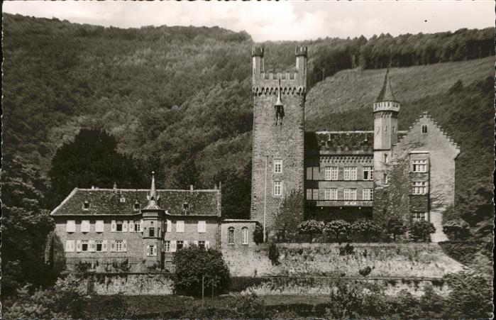 Neckarsteinach Mittelburg