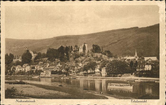 Neckarsteinach Totalansicht