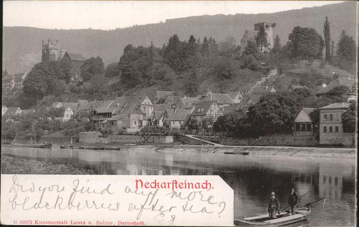 Neckarsteinach Panorama