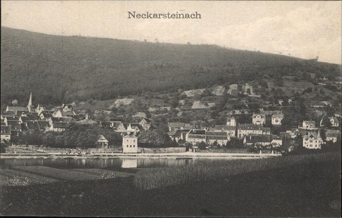 Neckarsteinach Panorama