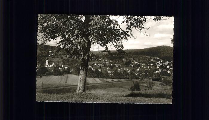 Bammental Elsenz
Totalansicht