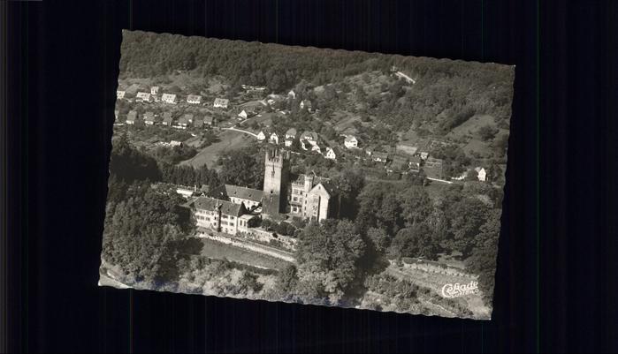 Neckarsteinach Flugbild