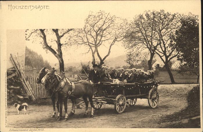 Hochzeit Pferdekutsche Hund Schwarzwald