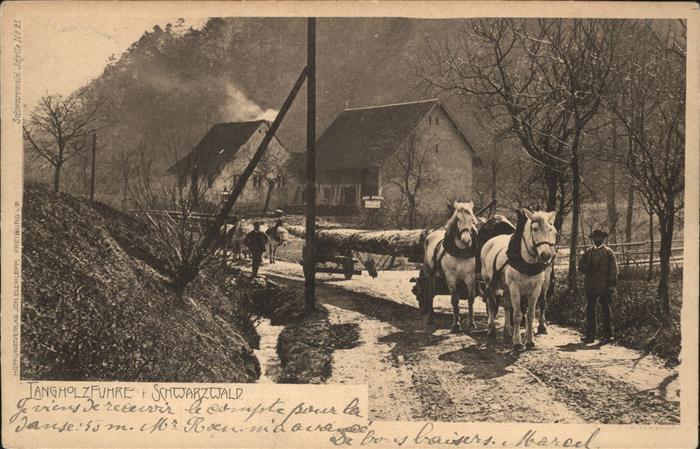 Schwarzwald Tangholzfuhre Pferd