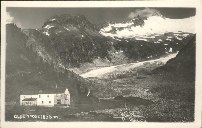 Mayrhofen Zillertal Alpenrose