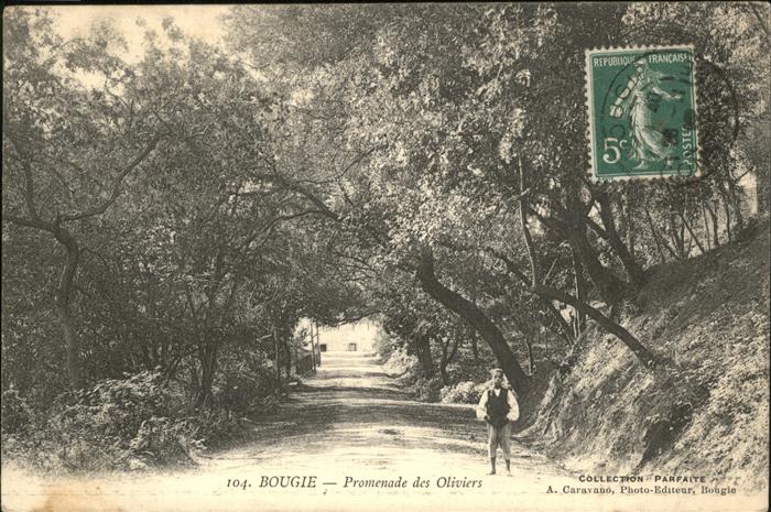 Bougie Bejaia Algeria Promenade Oliviers