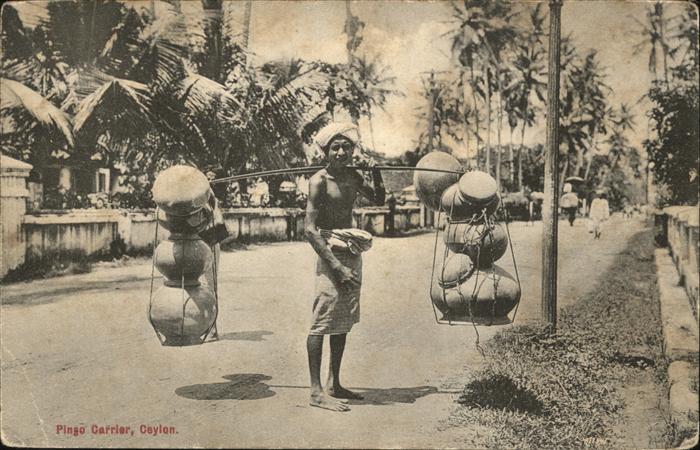 Ceylon Sri Lanka Pingo Carrier
