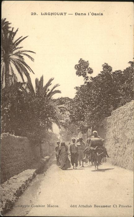 Laghouat Dans Oasis Esel