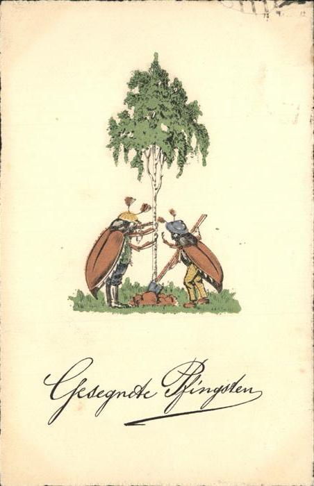 Pfingsten Pentecost Pentecote Maikäfer