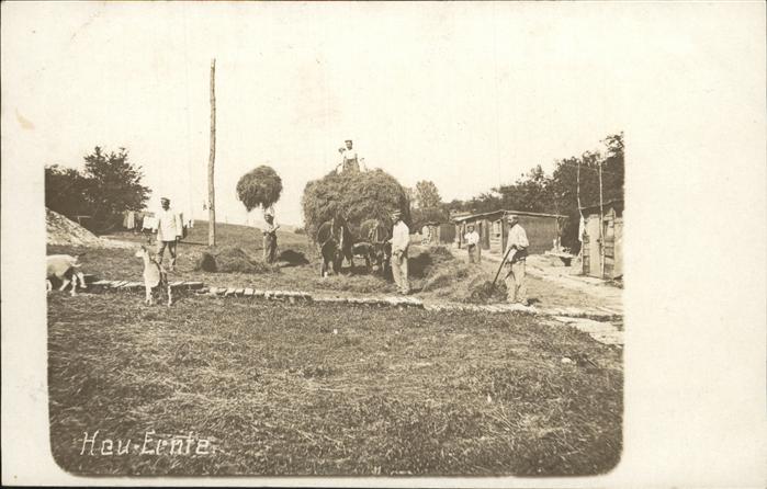 Landwirtschaft Heuernte