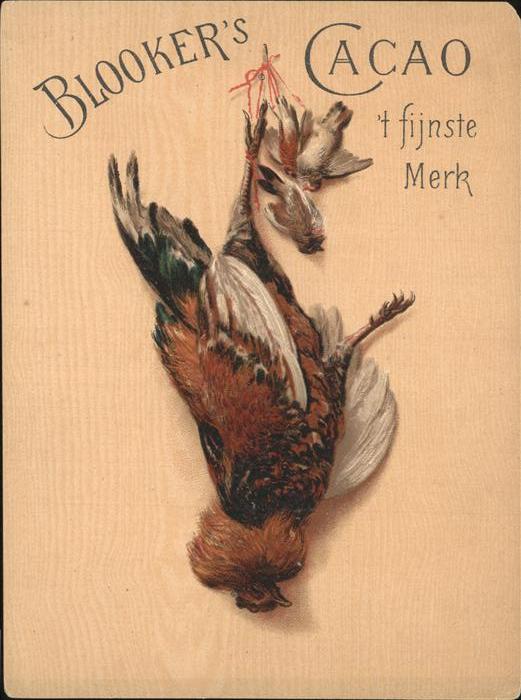 Schokolade Chocolat Blooker's Cacao Werbung