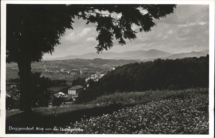 Deggendorf Donau Ludwigshöhe
