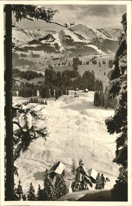 Hirschegg Kleinwalsertal Vorarlberg Haus Küren