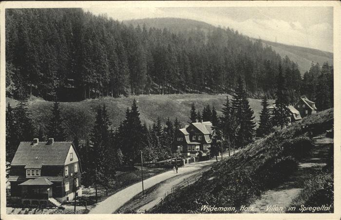 Wildemann Harz Goslar Niedersachsen Villen Spiegeltal